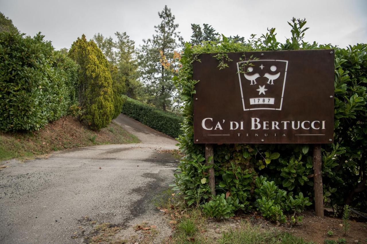 Apartament Tenuta Ca Di Bertucci Solignano Zewnętrze zdjęcie